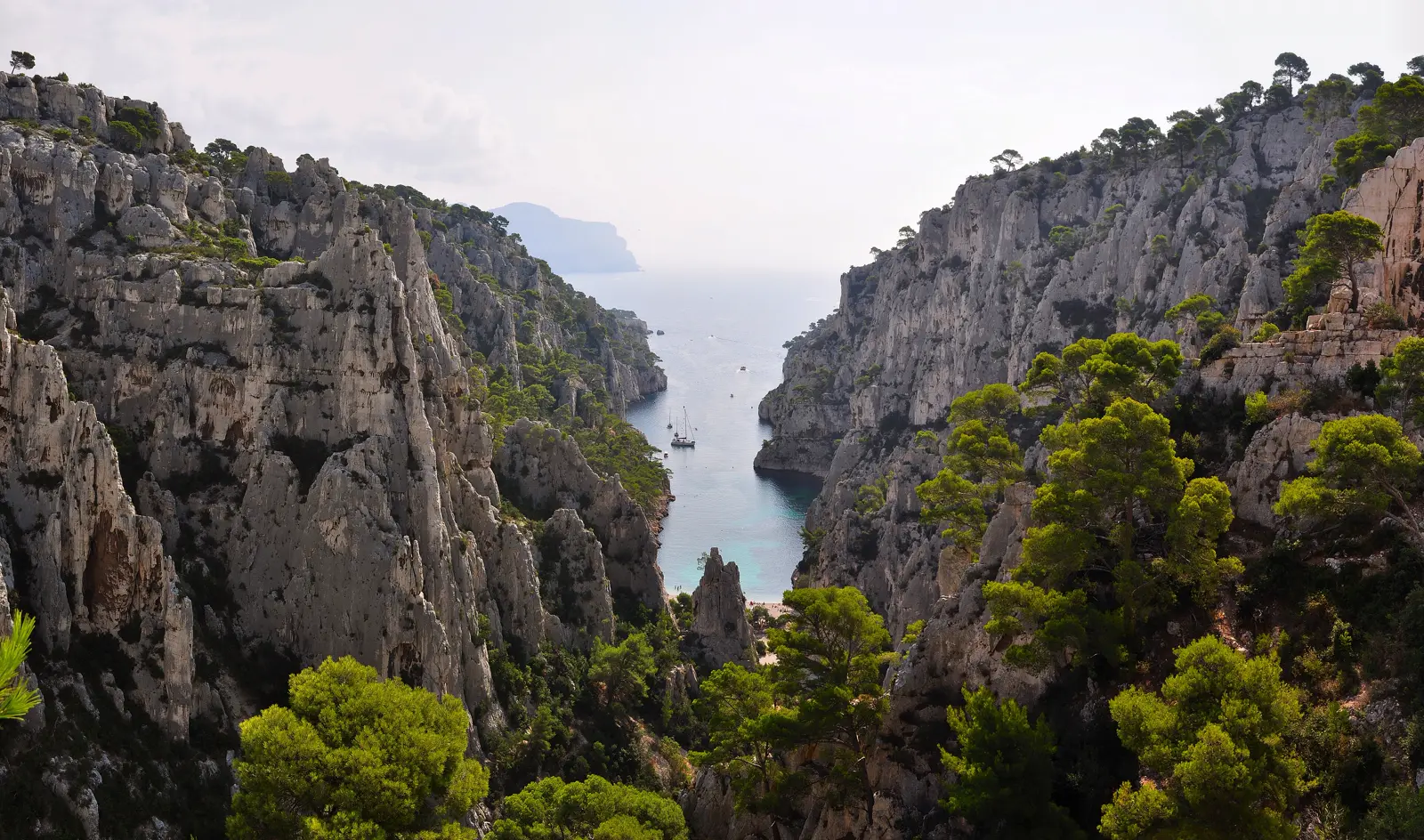 La calanque d'En-Vau vue d'en haut, entre deux falaises blanches et des pins